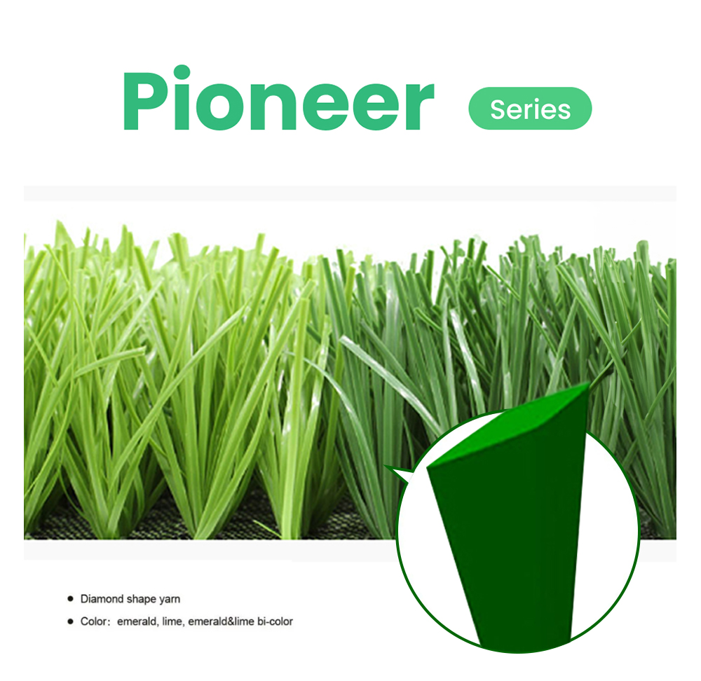 Bellin- Pioneer